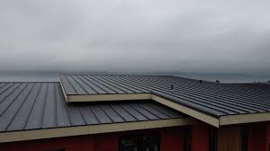 Best Solar Panel Roofing Installation  in Canfield, OH